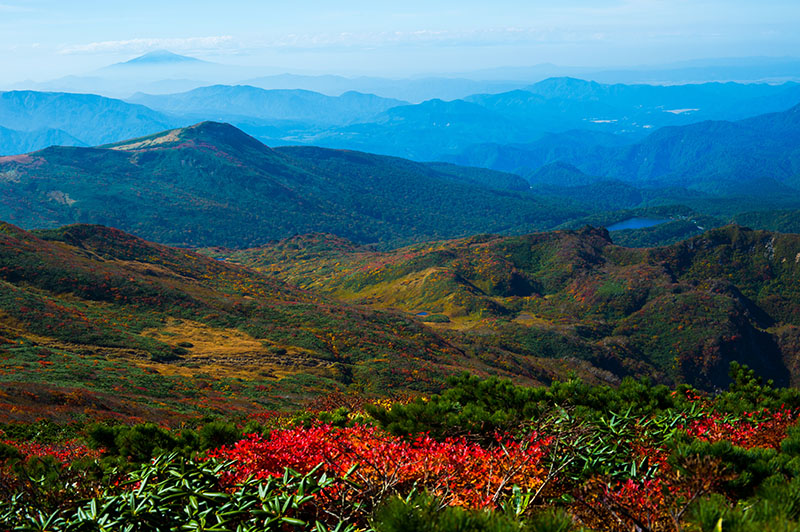 Immigration to the Northwest Territories